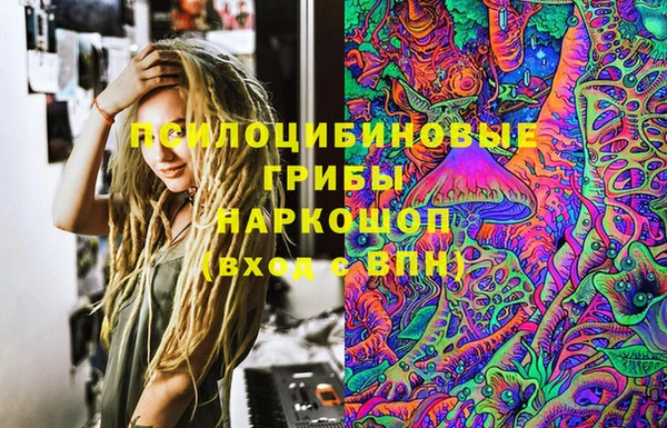 спиды Верея