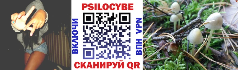 Псилоцибиновые грибы Magic Shrooms  Зеленодольск 